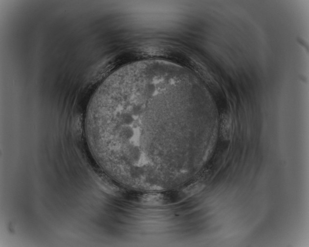 X0000098110410200804251432