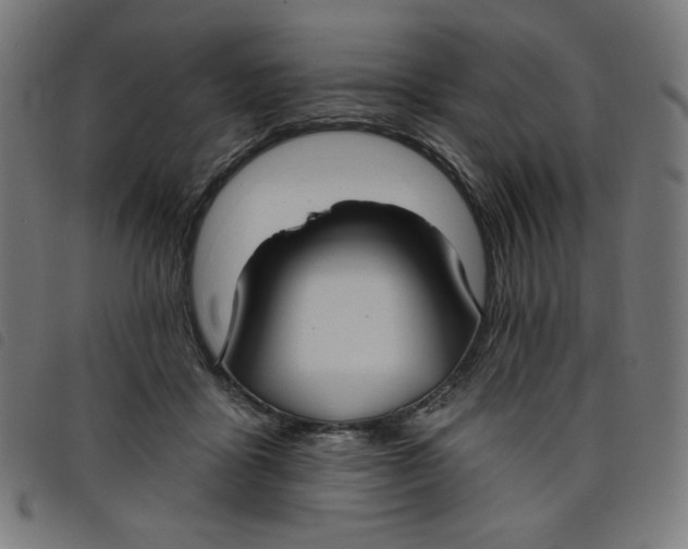 X0000098110411200804251432