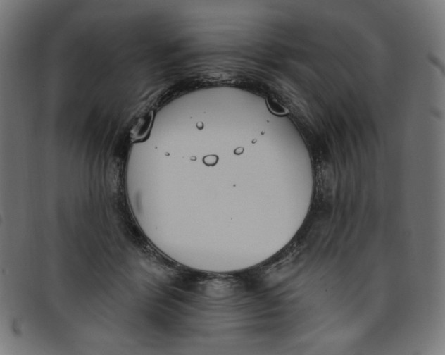 X0000098110412200804251432