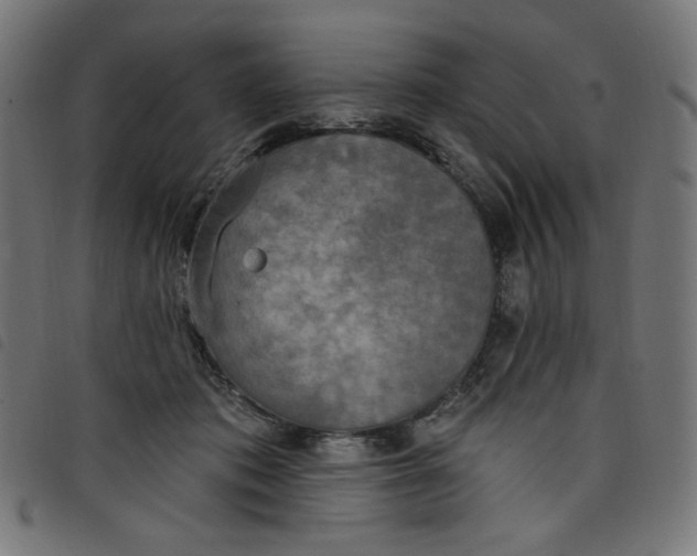 X0000098110413200804251432