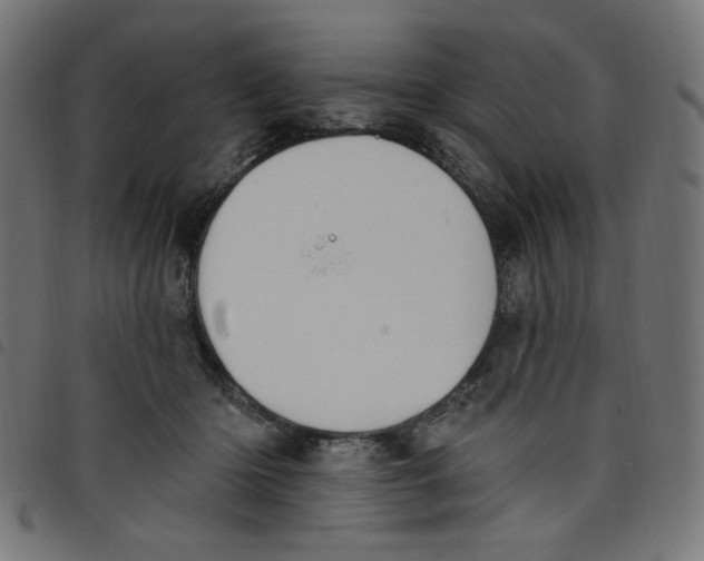 X0000098110414200804251432