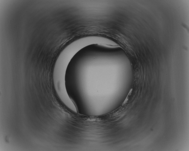 X0000098110415200804251432