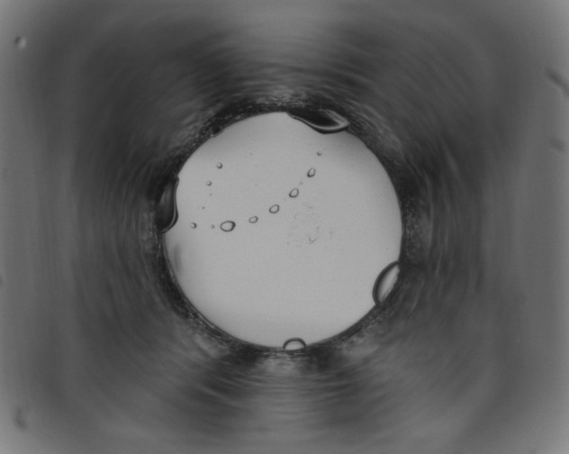 X0000098110416200804251432