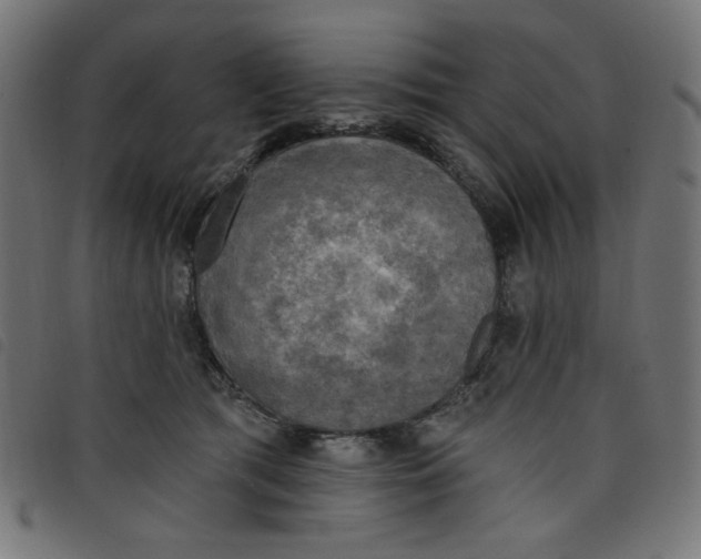 X0000098110417200804251432