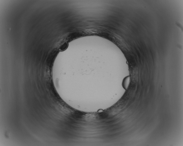 X0000098110418200804251432