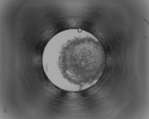 X0000098110419200804251432