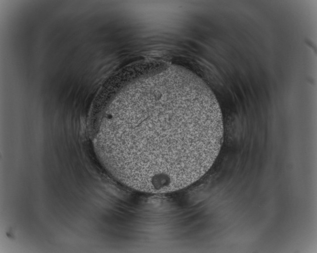 X0000098110420200804251432