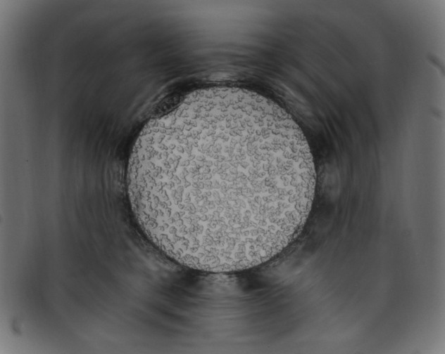 X0000098110421200804251432