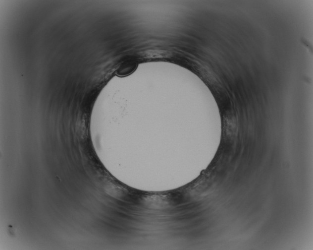 X0000098110422200804251432