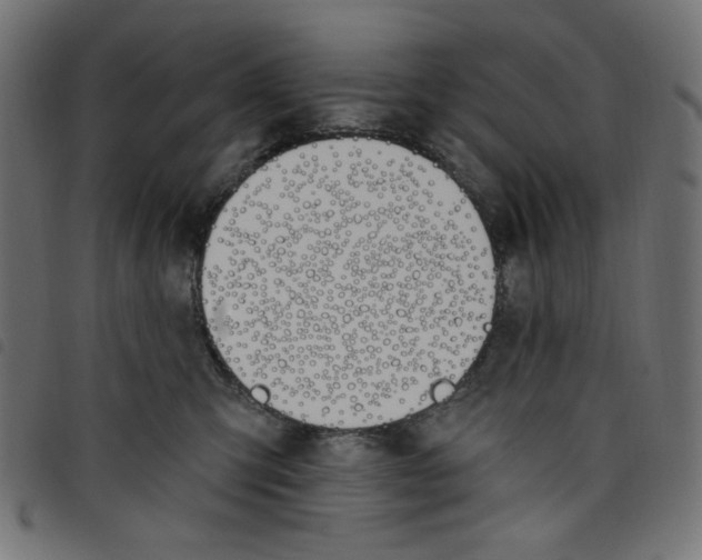 X0000098110423200804251432