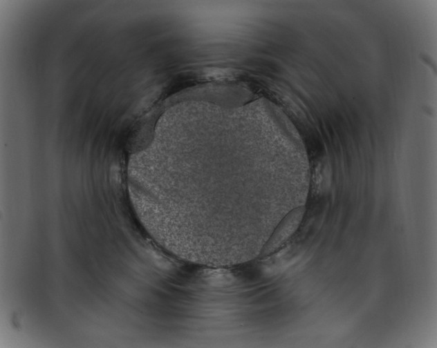 X0000098110424200804251432