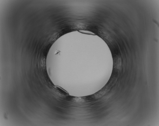 X0000098110425200804251432