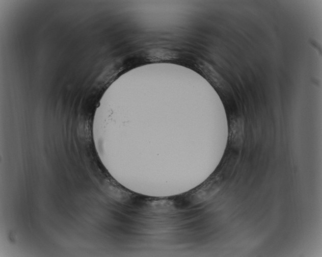 X0000098110426200804251432