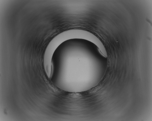 X0000098110427200804251432