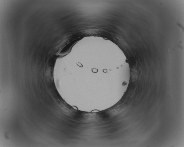 X0000098110428200804251432