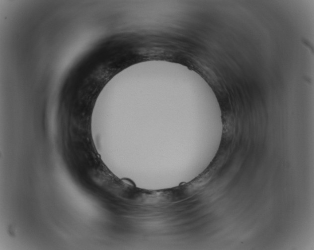 X0000098110430200804251432