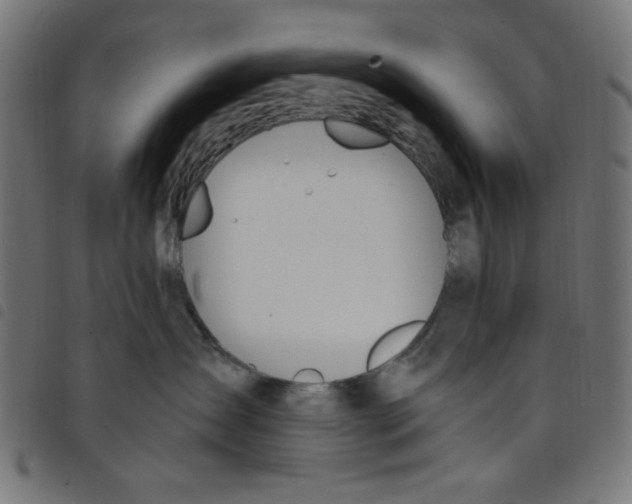 X0000098110431200804251432