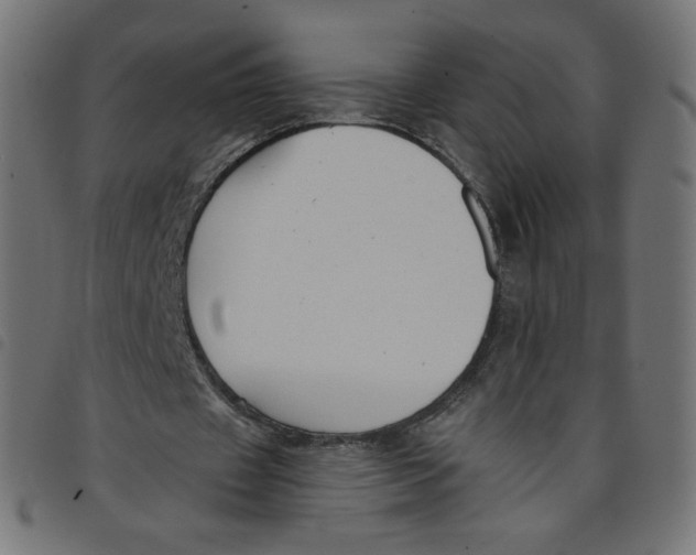 X0000098110433200804251431