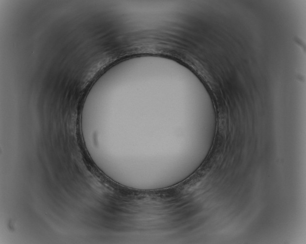 X0000098110434200804251431