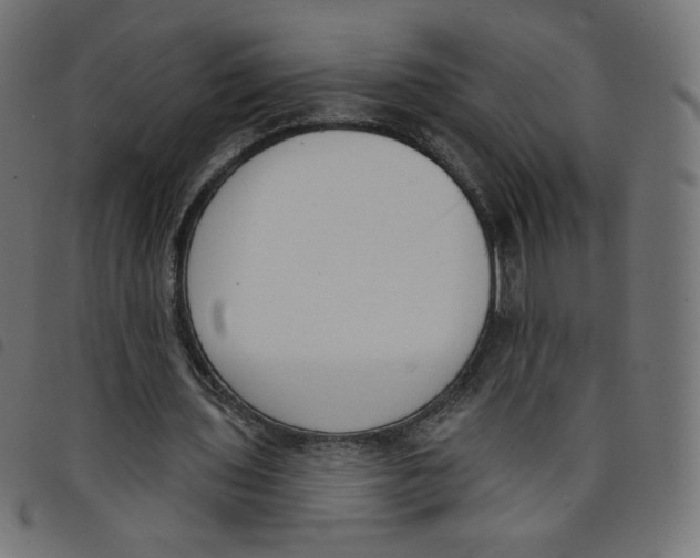 X0000098110435200804251431