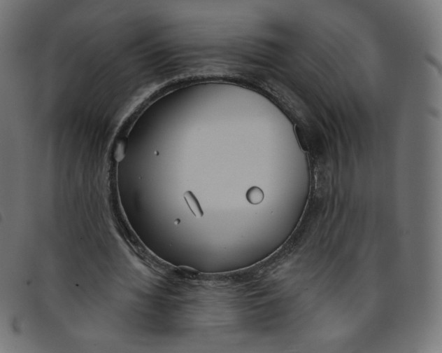 X0000098110436200804251431