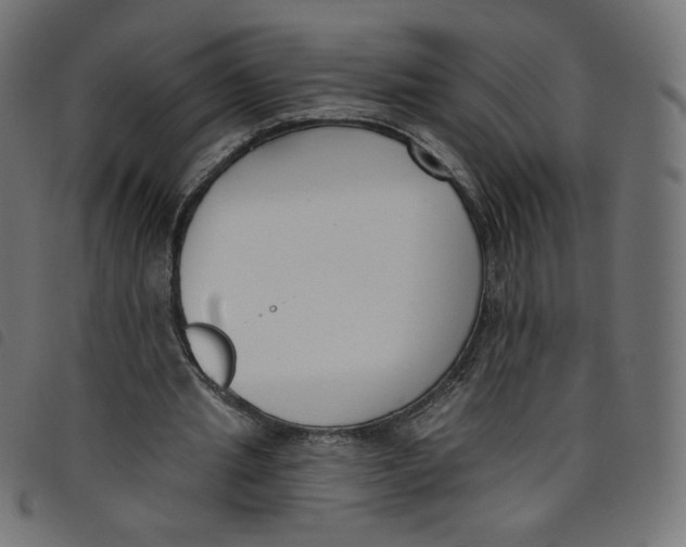 X0000098110437200804251431