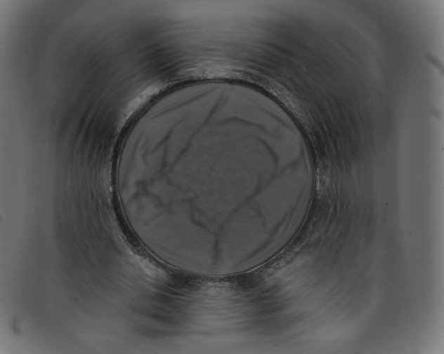 X0000098110438200804251431