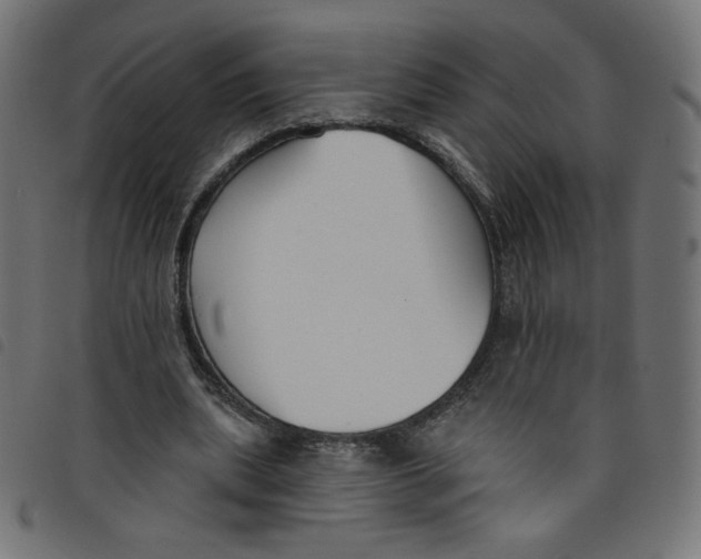 X0000098110439200804251431