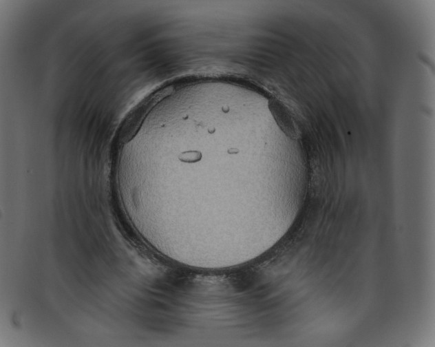 X0000098110440200804251431