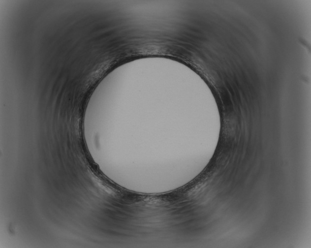 X0000098110441200804251431