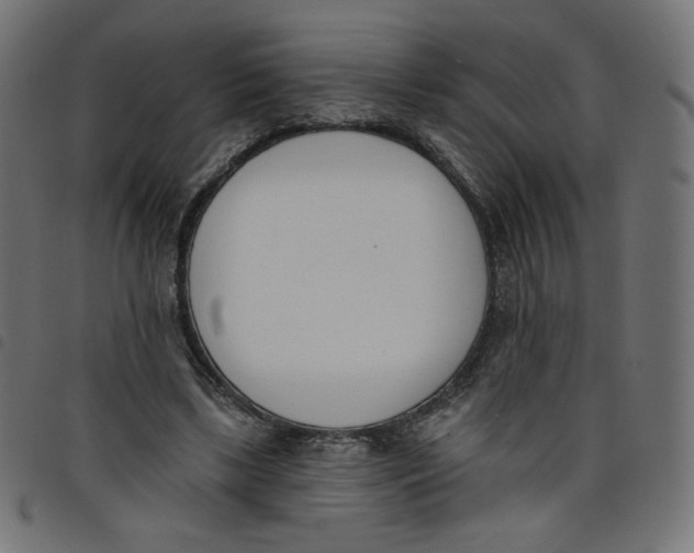 X0000098110443200804251431