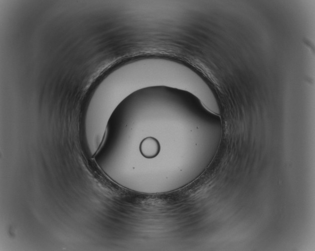 X0000098110444200804251431