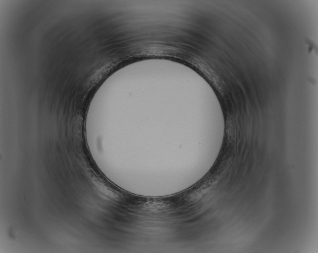 X0000098110445200804251431