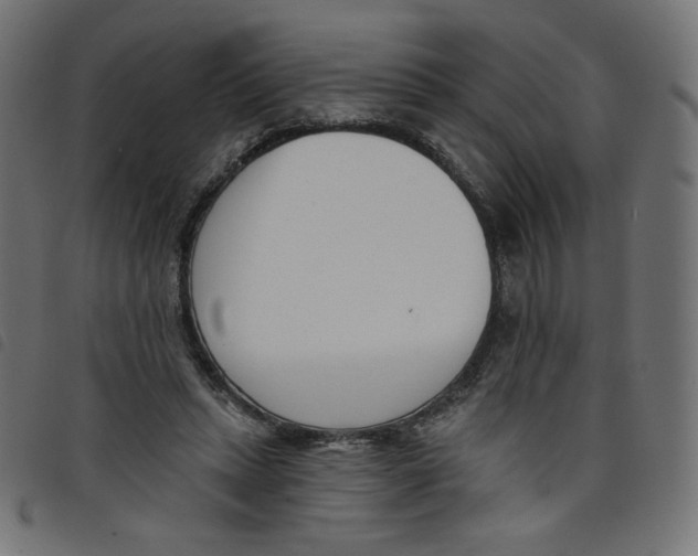 X0000098110447200804251431