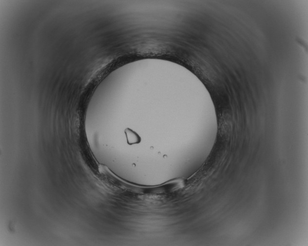 X0000098110448200804251431