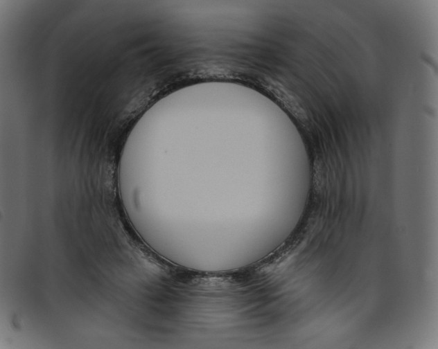 X0000098110449200804251431