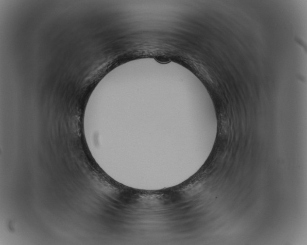 X0000098110450200804251431