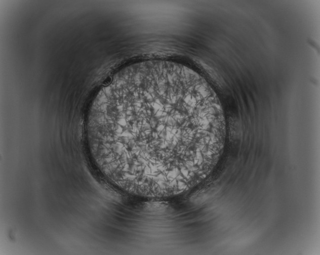 X0000098110451200804251431