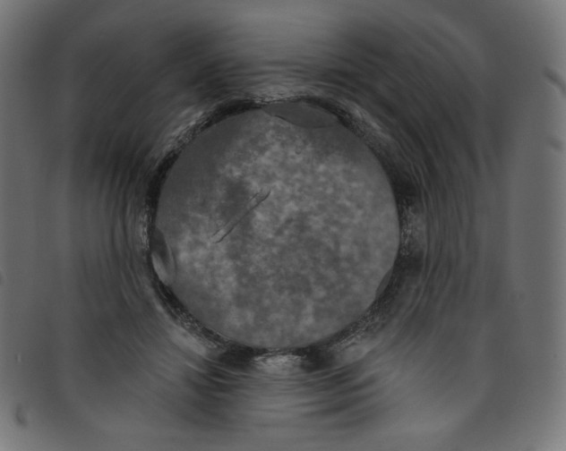 X0000098110452200804251431