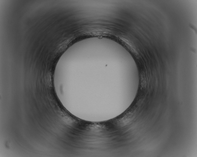 X0000098110453200804251431