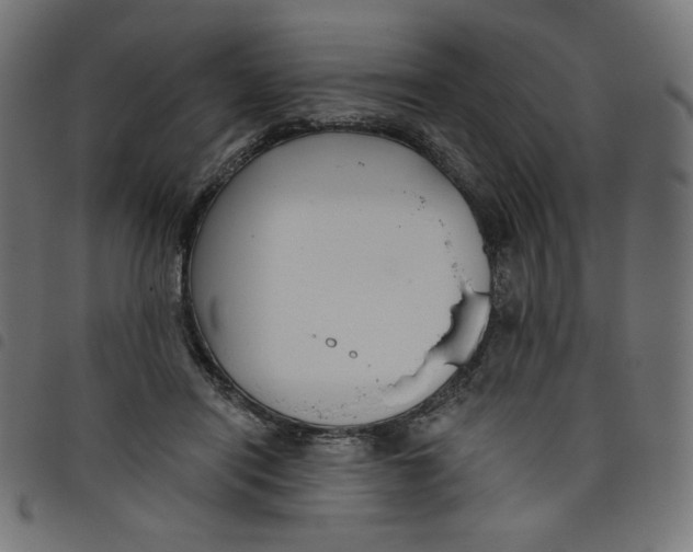 X0000098110454200804251432