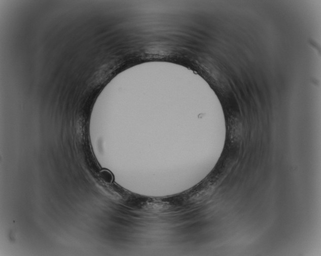 X0000098110455200804251432