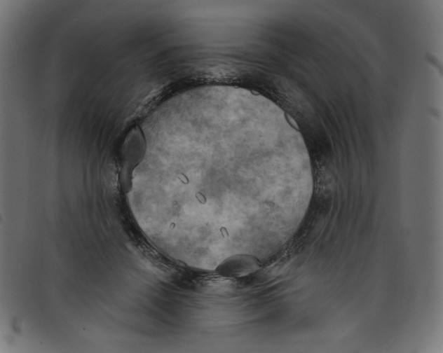 X0000098110456200804251432