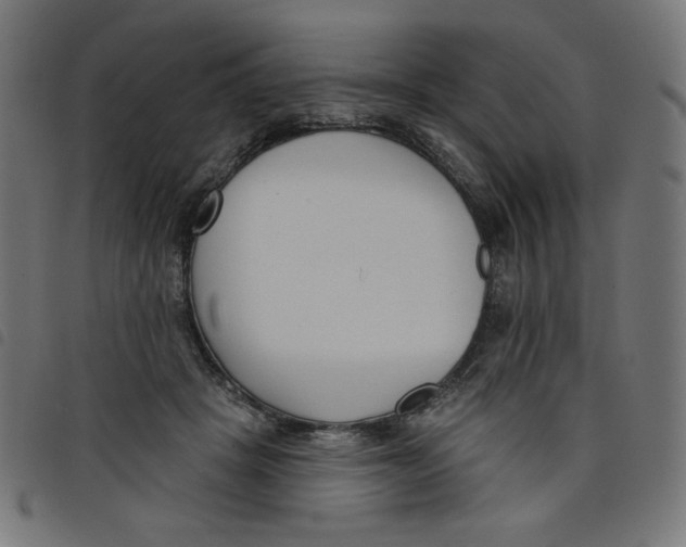 X0000098110457200804251432