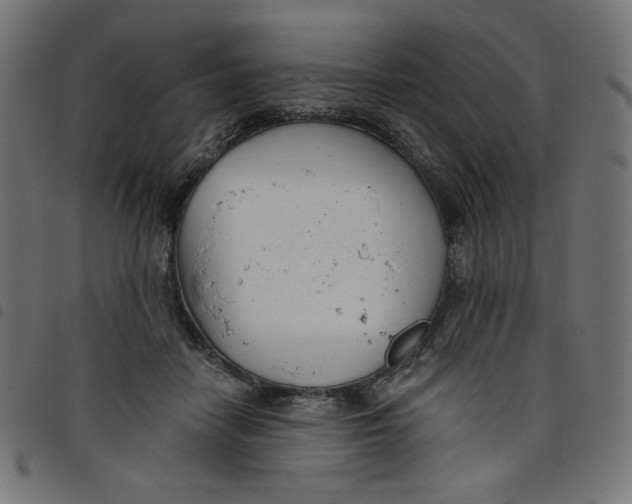 X0000098110458200804251432