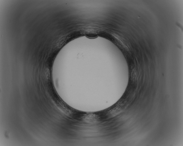 X0000098110459200804251432