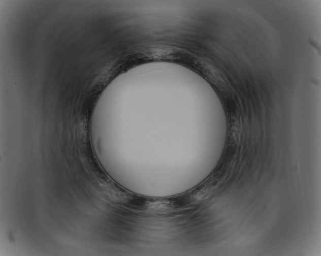 X0000098110461200804251432