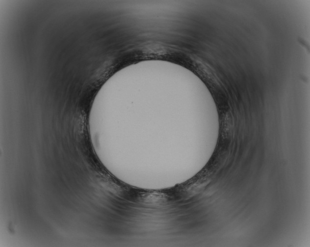 X0000098110463200804251432