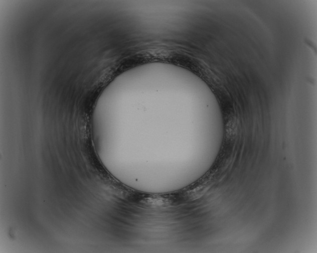 X0000098110464200804251432