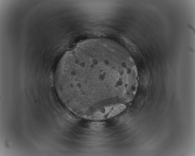 X0000098110465200804251432